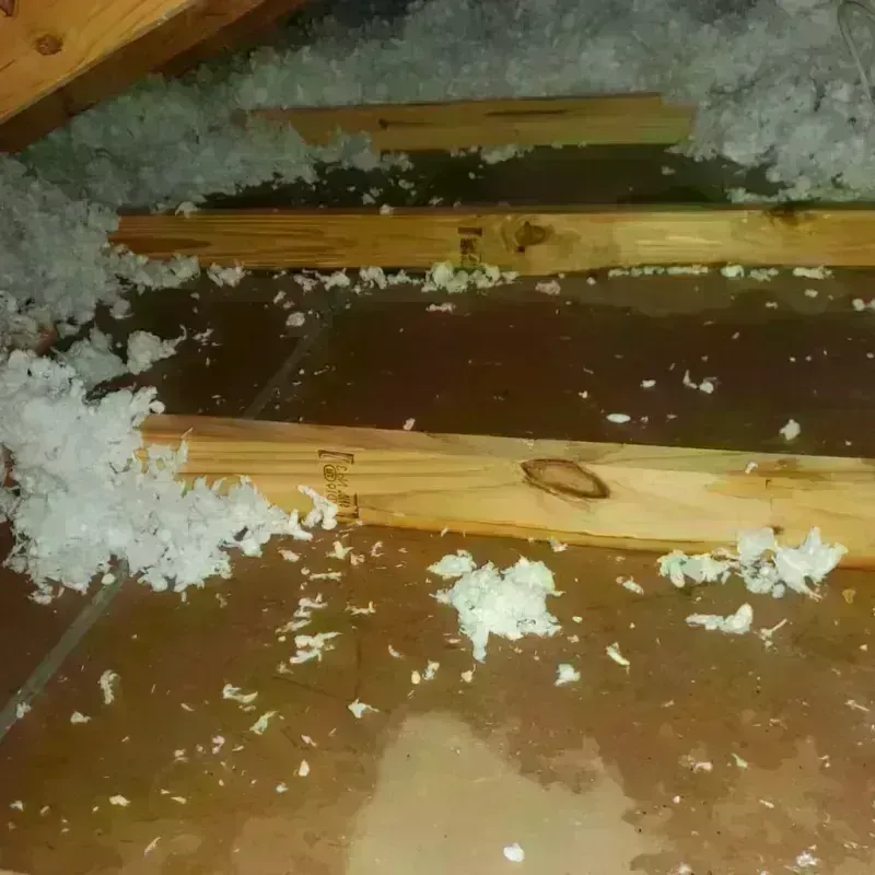 Attic Water Damage in Willmar, MN