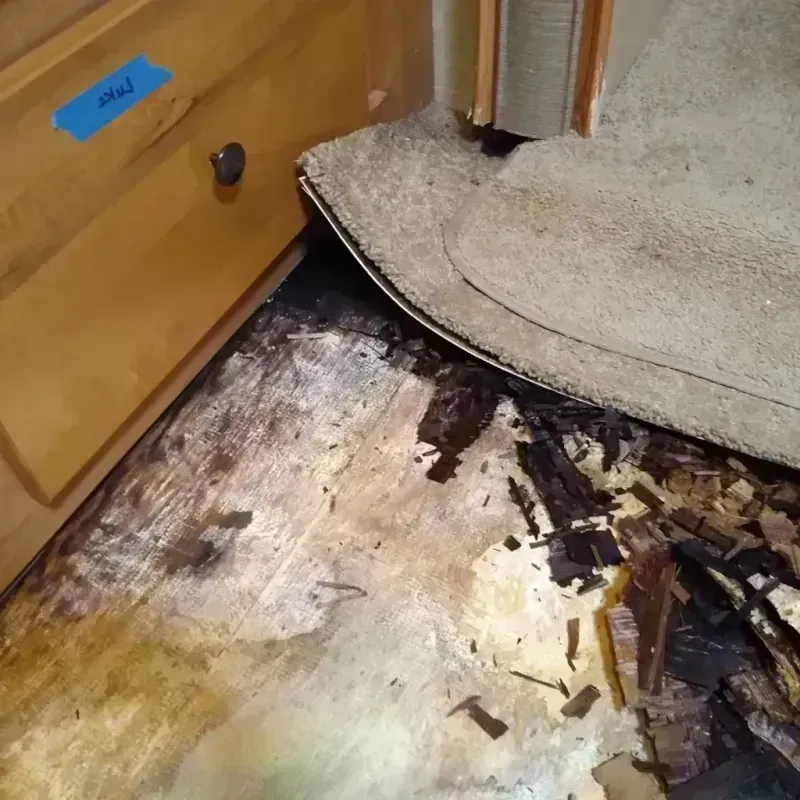 Wood Floor Water Damage in Willmar, MN